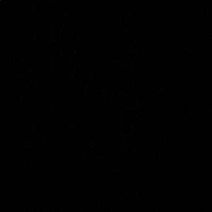 Meet your Posher, Genesis